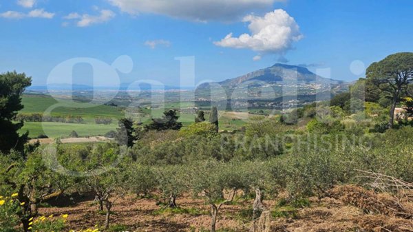 terreno edificabile in vendita a Buseto Palizzolo