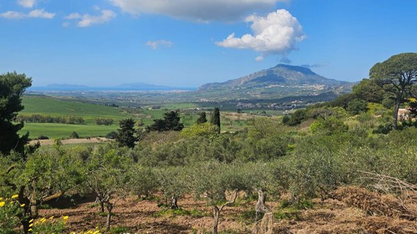 appartamento in vendita a Buseto Palizzolo