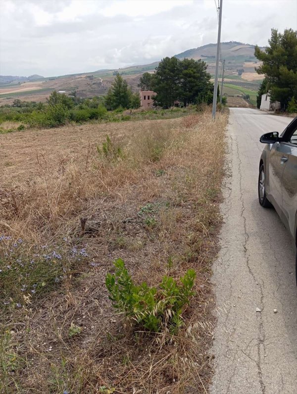 terreno edificabile in vendita a Buseto Palizzolo