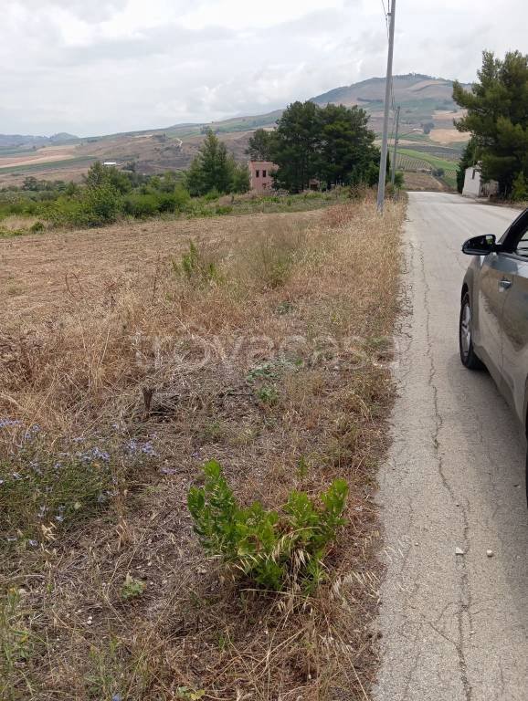 terreno agricolo in vendita a Buseto Palizzolo