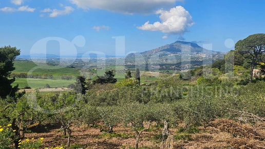 casale in vendita a Buseto Palizzolo