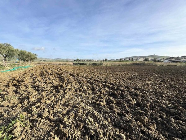 terreno agricolo in vendita a Buseto Palizzolo in zona Tangi