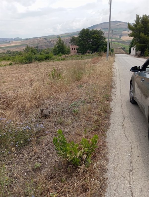 terreno agricolo in vendita a Buseto Palizzolo in zona Pianoneve
