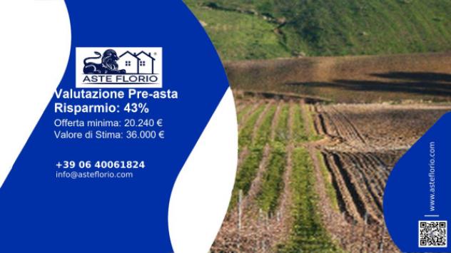 terreno edificabile in vendita a Buseto Palizzolo