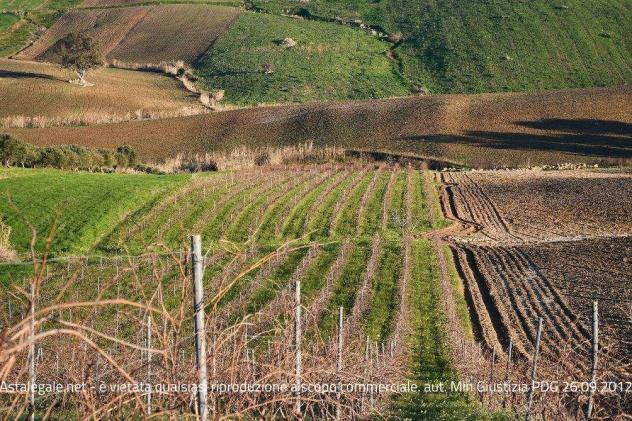 terreno agricolo in vendita a Buseto Palizzolo