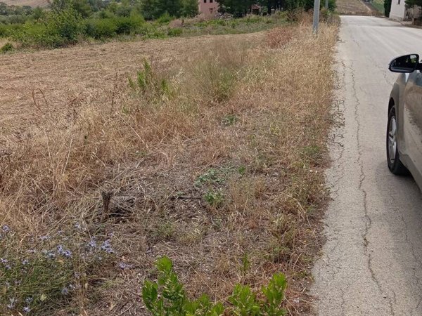 terreno edificabile in vendita a Buseto Palizzolo in zona Badia
