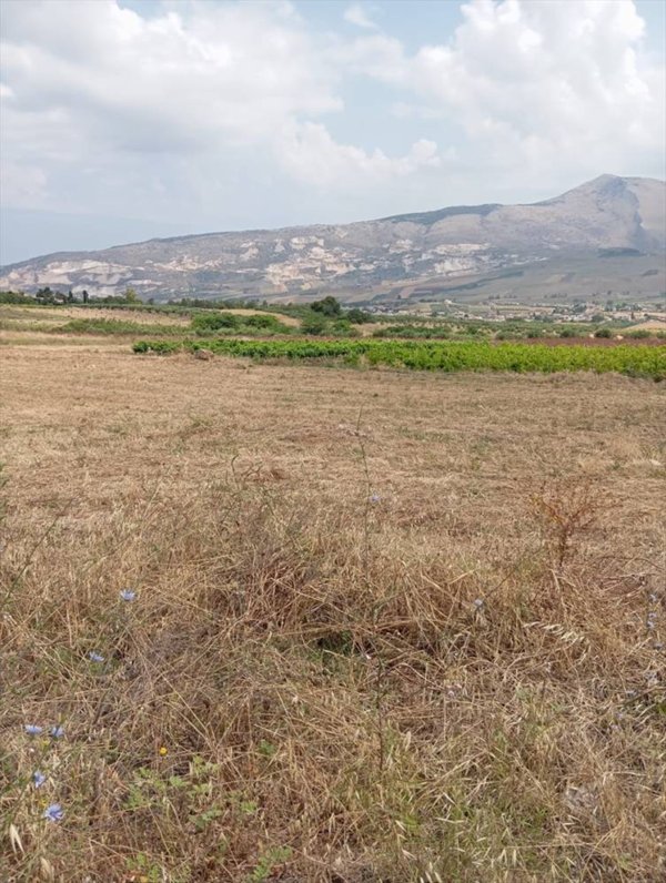 terreno edificabile in vendita a Buseto Palizzolo in zona Pianoneve