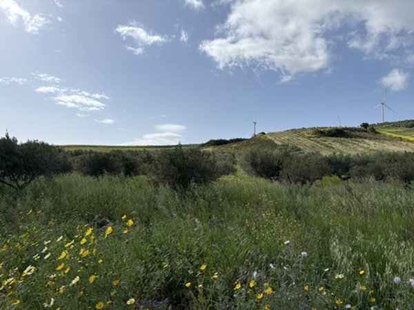 terreno agricolo in vendita a Buseto Palizzolo in zona Badia