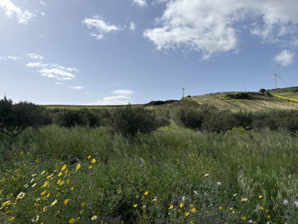 terreno in vendita a Buseto Palizzolo in zona Badia