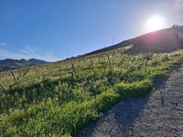 quadrivano in vendita a Calatafimi-Segesta