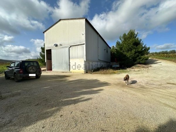 azienda agricola in vendita a Calatafimi-Segesta