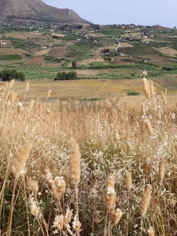 terreno agricolo in vendita a Calatafimi-Segesta
