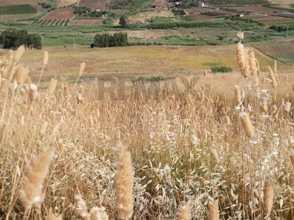 terreno in vendita a Calatafimi-Segesta