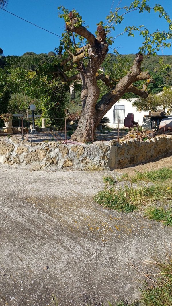 casa indipendente in vendita a Calatafimi-Segesta