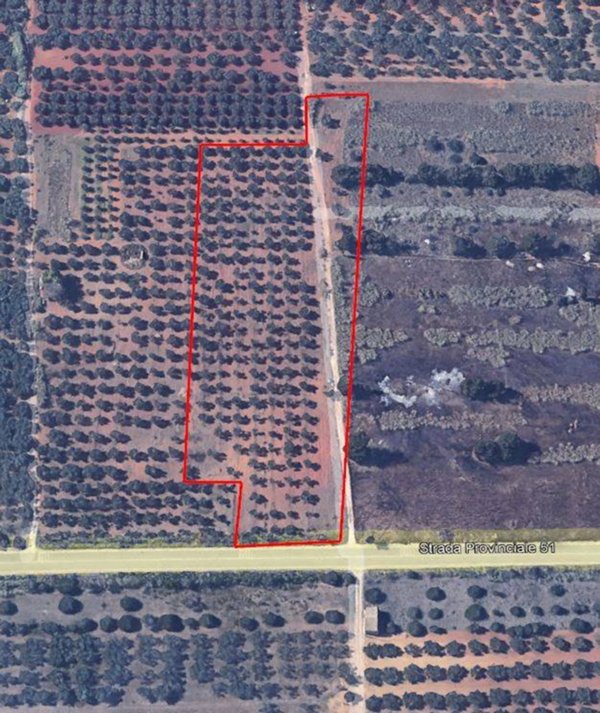 terreno agricolo in vendita a Campobello di Mazara in zona Tre Fontane