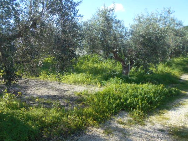 casa semindipendente in vendita a Campobello di Mazara