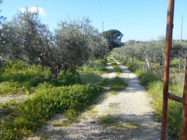 casa semindipendente in vendita a Campobello di Mazara