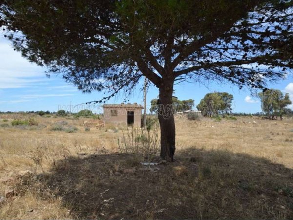casa indipendente in vendita a Campobello di Mazara