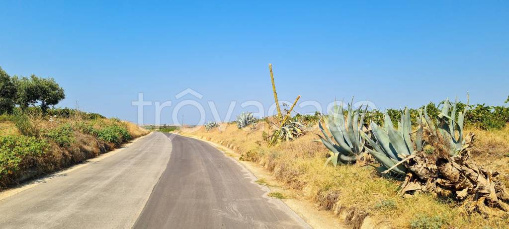 azienda agricola in vendita a Campobello di Mazara