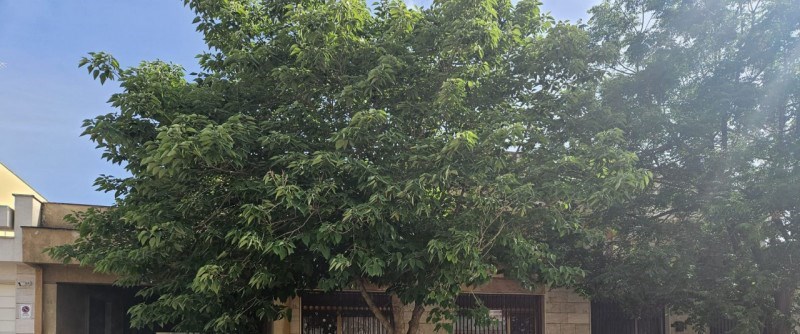 appartamento in vendita a Campobello di Mazara