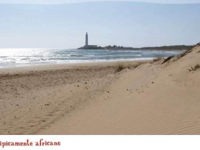 casa indipendente in vendita a Campobello di Mazara