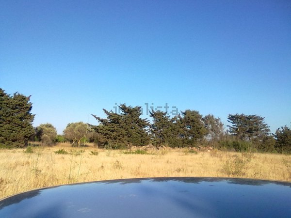 terreno agricolo in vendita a Campobello di Mazara in zona Tre Fontane