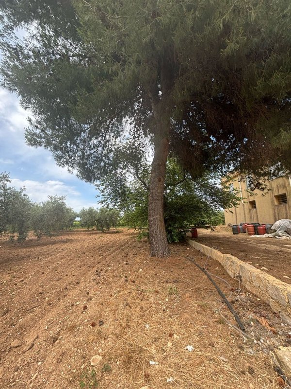 casale in vendita a Campobello di Mazara in zona Tre Fontane