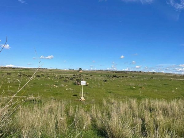 terreno agricolo in vendita a Campobello di Mazara