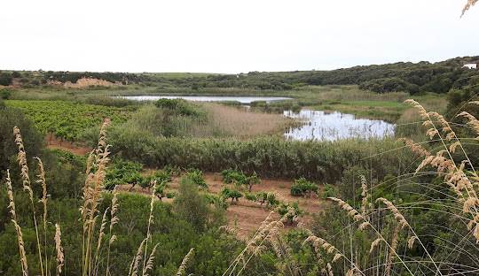 terreno agricolo in vendita a Campobello di Mazara
