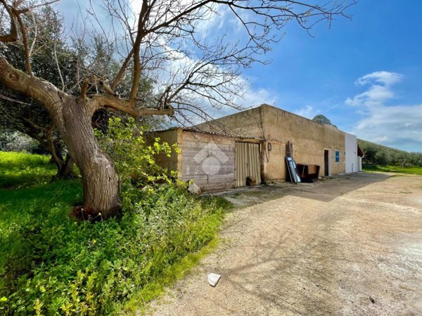 casa indipendente in vendita a Castellammare del Golfo in zona Scopello