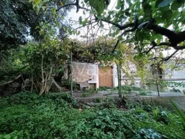 appartamento in vendita a Castellammare del Golfo in zona Scopello