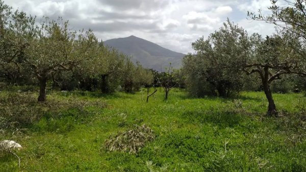 appartamento in vendita a Castellammare del Golfo in zona Scopello