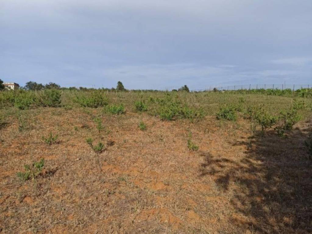 terreno agricolo in vendita a Castellammare del Golfo