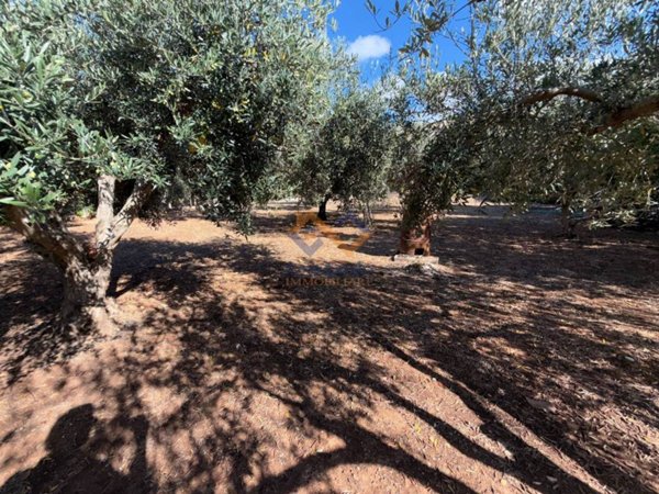 casa indipendente in vendita a Castellammare del Golfo