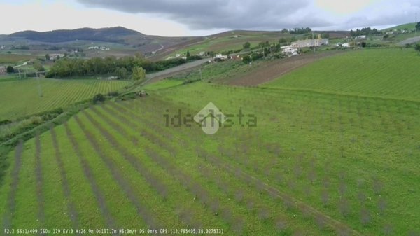 terreno agricolo in vendita a Castellammare del Golfo in zona Balata di Baida
