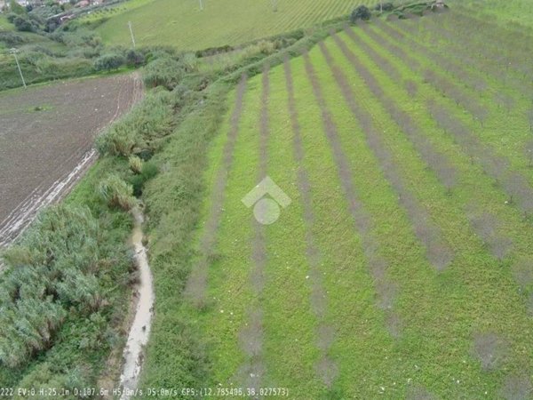 terreno agricolo in vendita a Castellammare del Golfo in zona Balata di Baida