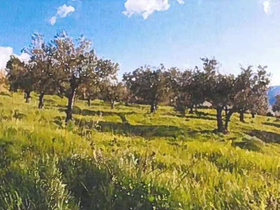 terreno edificabile in vendita a Castellammare del Golfo
