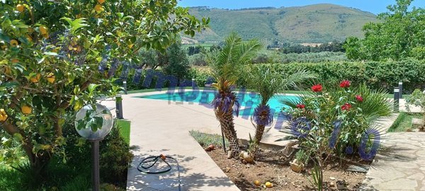 pentavano in vendita a Castellammare del Golfo