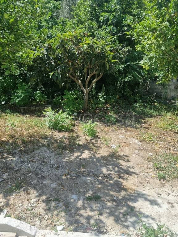 appartamento in vendita a Castellammare del Golfo