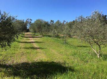casa indipendente in vendita a Castellammare del Golfo