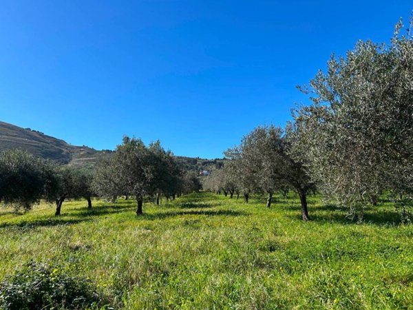 terreno edificabile in vendita a Castellammare del Golfo
