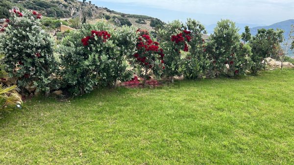 pentavano in vendita a Castellammare del Golfo