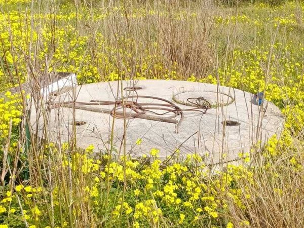 terreno agricolo in vendita a Castellammare del Golfo in zona Scopello
