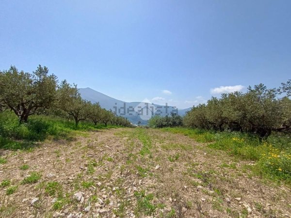 casa indipendente in vendita a Castellammare del Golfo