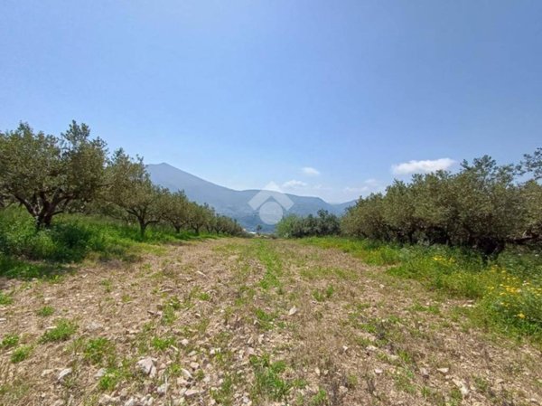 casa indipendente in vendita a Castellammare del Golfo