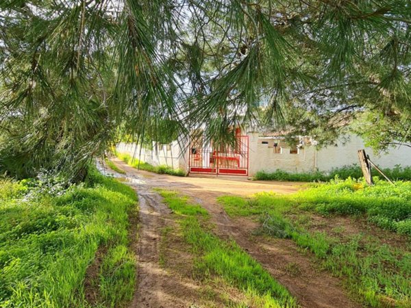 casa indipendente in vendita a Castelvetrano