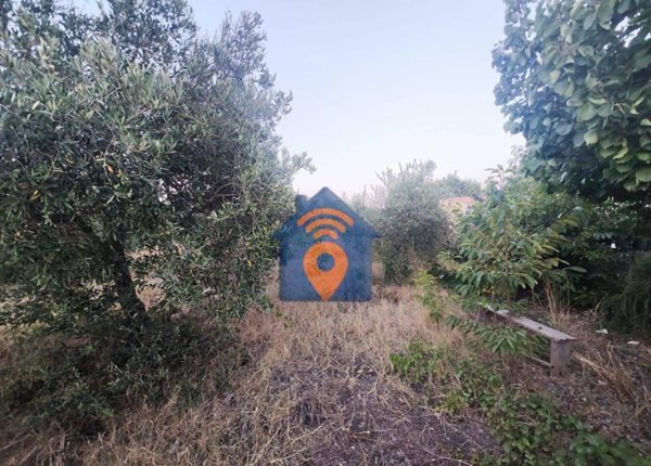 terreno agricolo in vendita a Castelvetrano