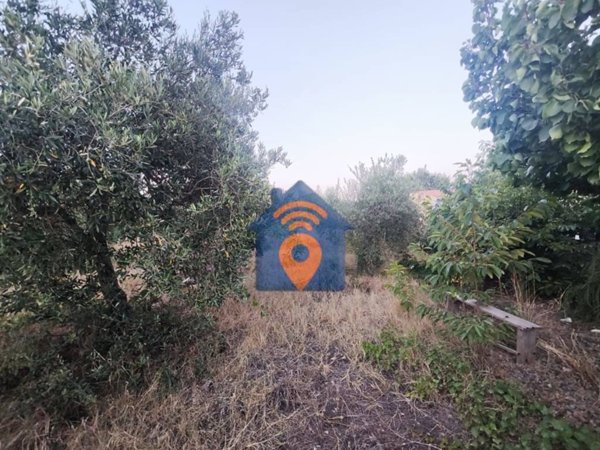 terreno agricolo in vendita a Castelvetrano