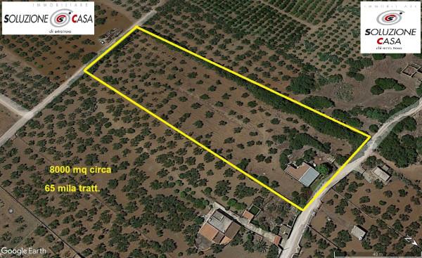 terreno agricolo in vendita a Castelvetrano
