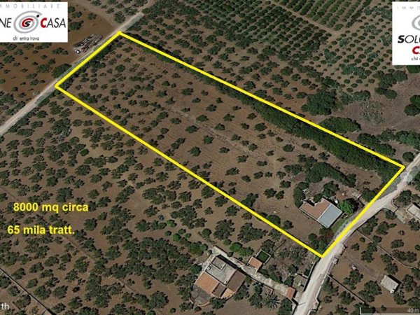 terreno agricolo in vendita a Castelvetrano